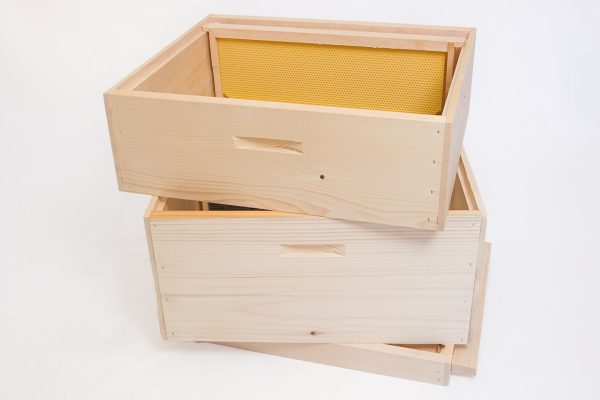 IMG_46732_W IMG_46732_W