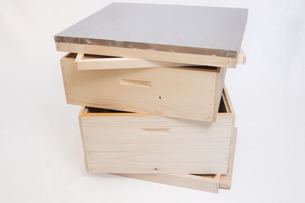 IMG_46734_W IMG_46734_W