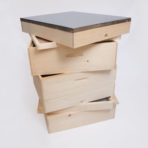 Beehives 10-frame