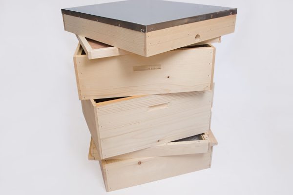 IMG_46756_W IMG_46756_W